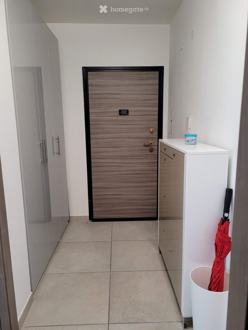 Affitto 2.5 Locali con piscina interna centro di Paradiso (2)