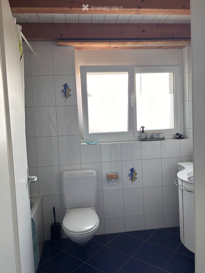 Grosse 4,5 Zimmer Wohnung plus Galerie (4)