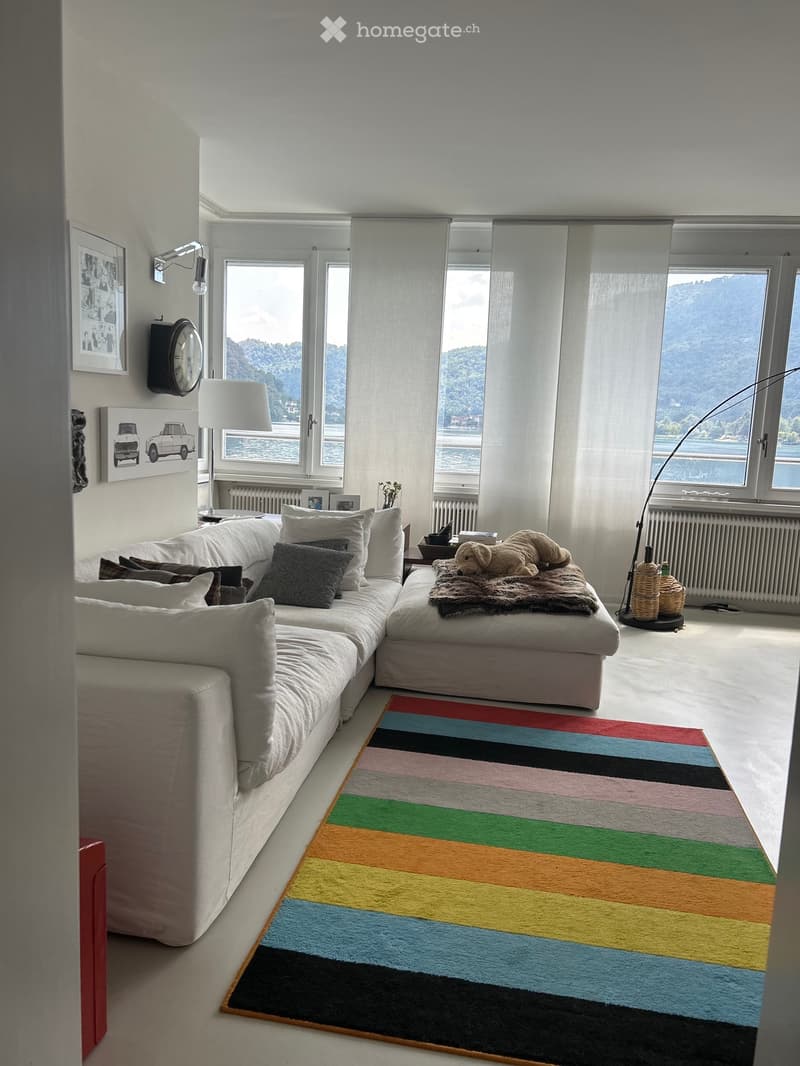 Elegante appartamento ammobiliato direttamente sul lago (2)