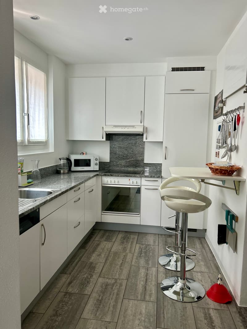 Elegante appartamento ammobiliato direttamente sul lago (3)