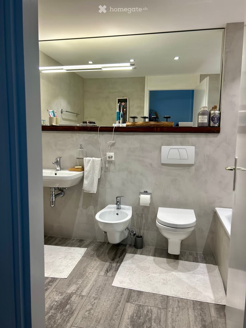 Elegante appartamento ammobiliato direttamente sul lago (4)