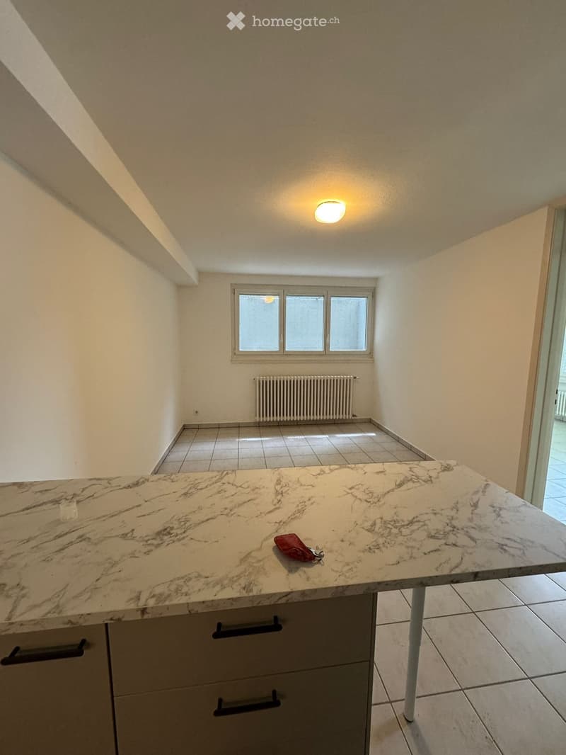 Appartamento in affitto 2.5 locali Barbengo (2)