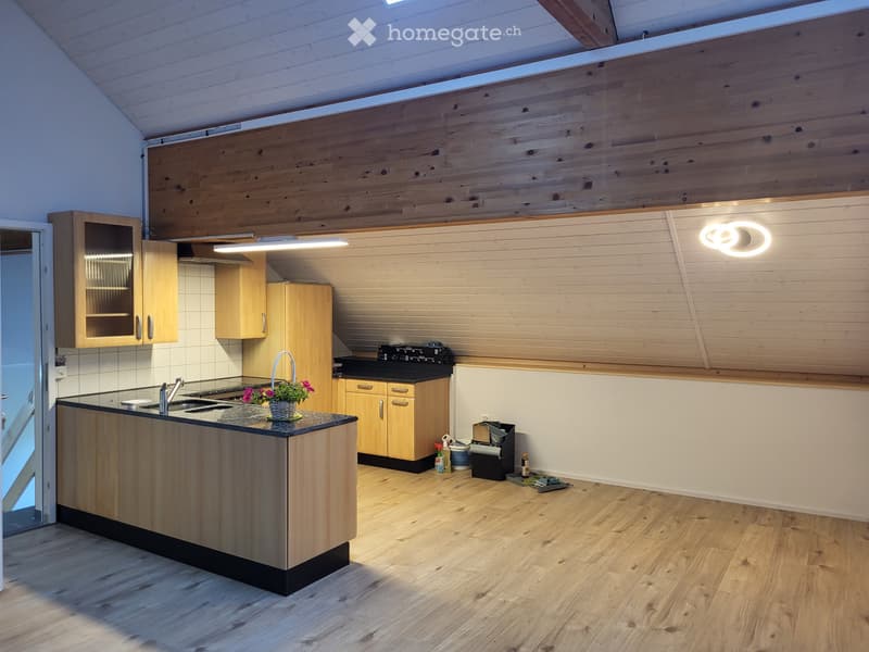 Einzigartige Loftwohnung in Amlikon Bissegg (2)