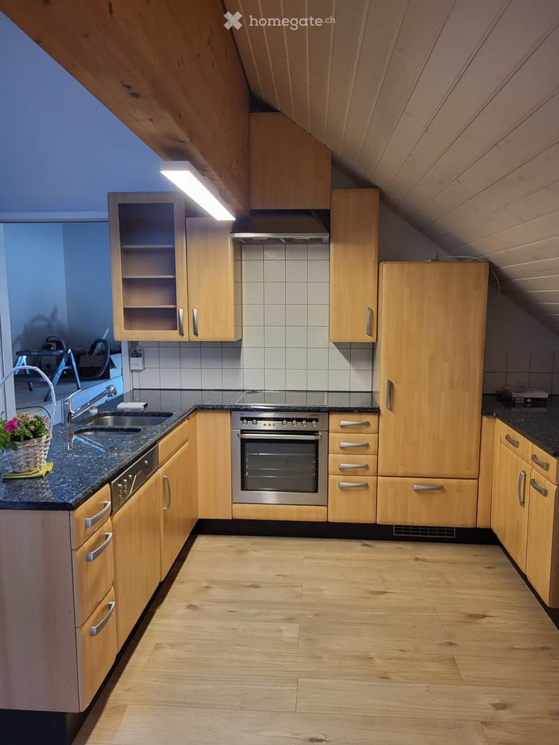 Einzigartige Loftwohnung in Amlikon Bissegg (1)