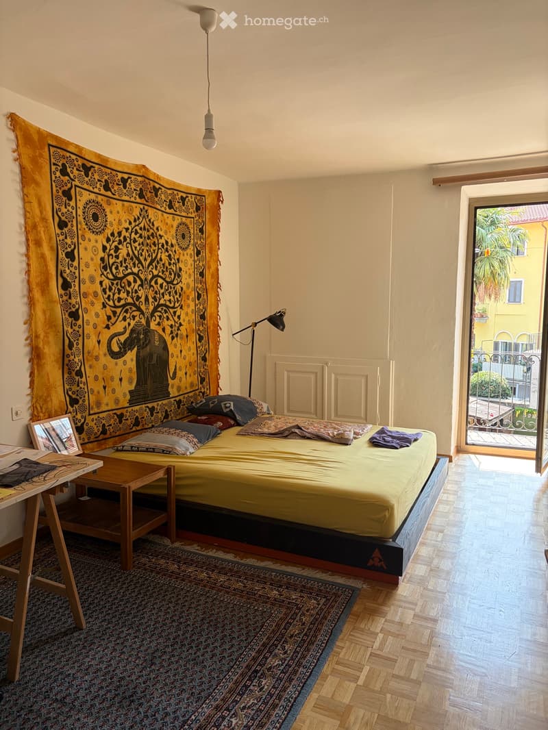 Room rent for Locarno Film Festival (5)