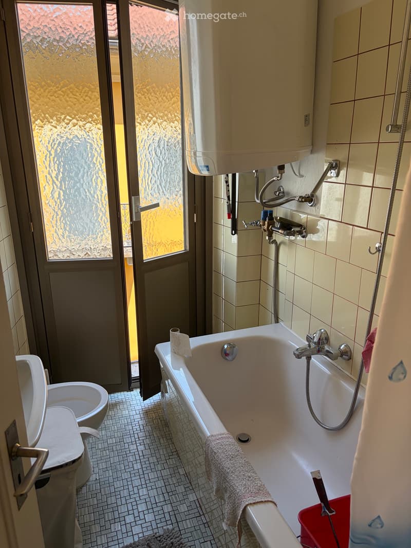 Room rent for Locarno Film Festival (2)