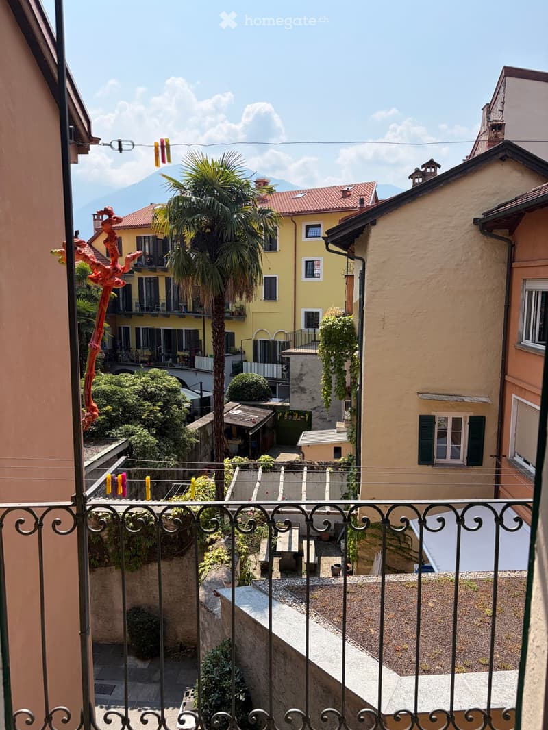 Room rent for Locarno Film Festival (4)