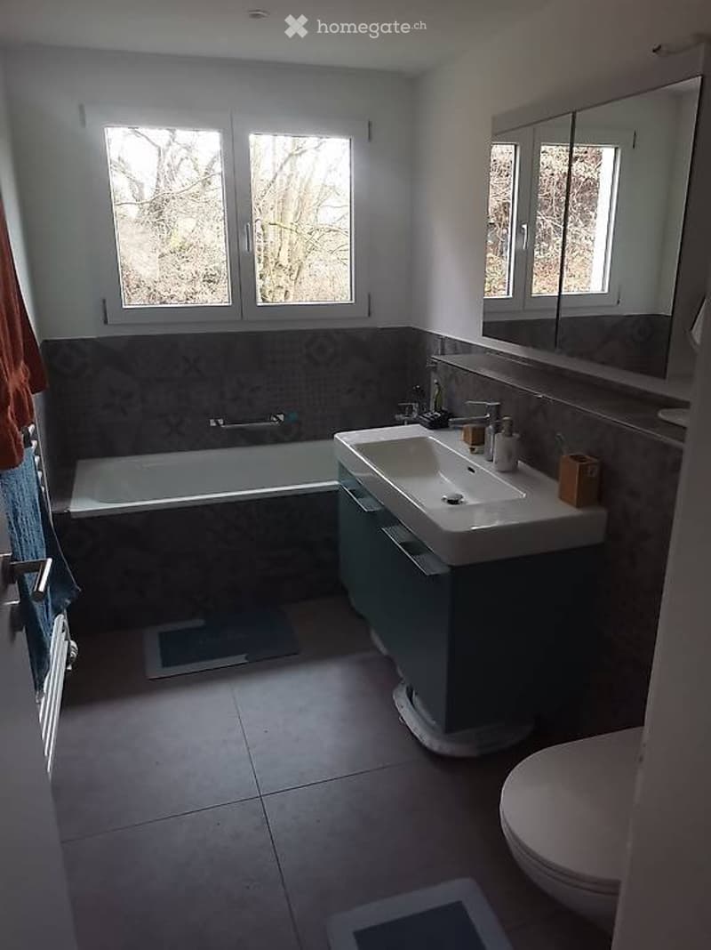 WG Zimmer im luxiorösen Wohnhaus - Öffianbindung nach Luzern (2)