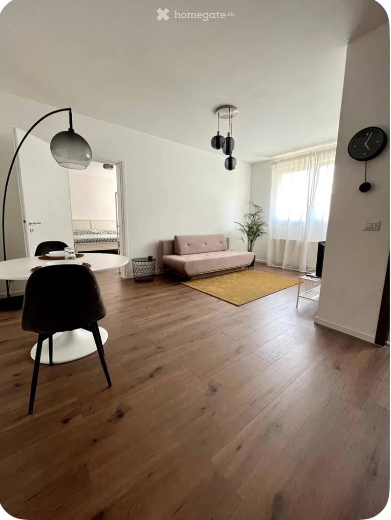 Affittasi appartamento 2.5 locali ristrutturato (3)