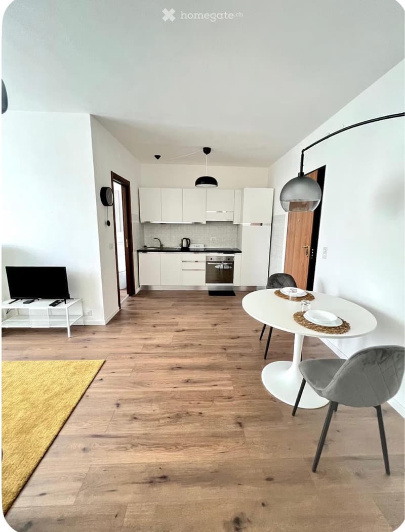 Affittasi appartamento 2.5 locali ristrutturato (2)