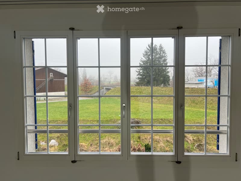 4,5 Zi Whg in Root ab 1.9.26 zu vermieten (4)