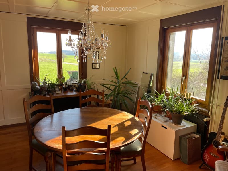 WG Zimmer in einem Alten Bauernhaus (4)