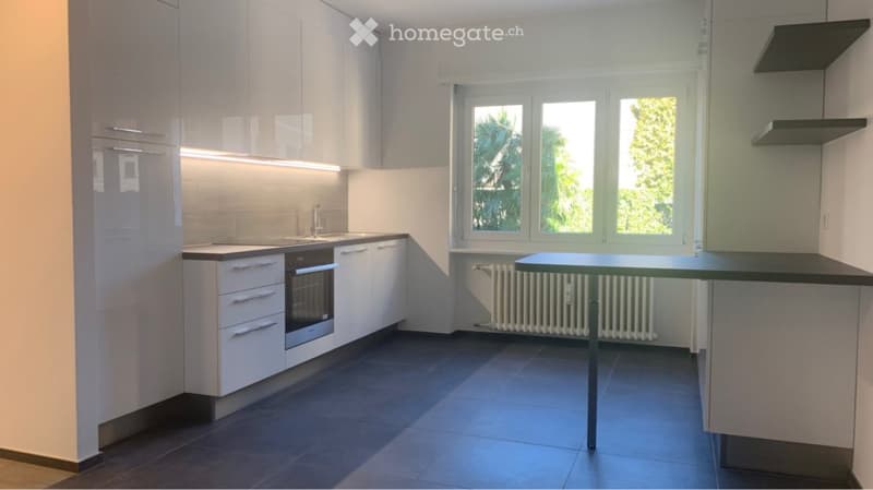 Appartamento 3 locali ristrutturato vicino all'EOC (3)