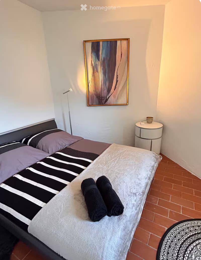 3.5 room House with lake view of Lake Lugano (5)