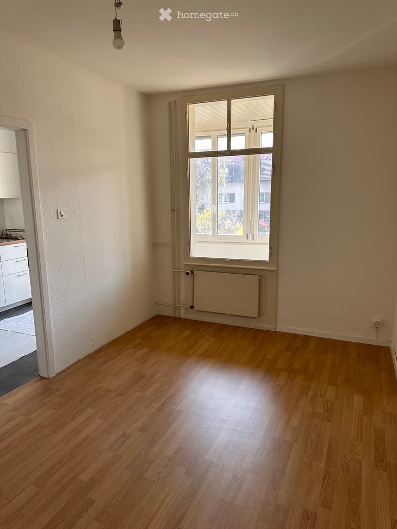 3.5-Zimmer Altbauwohnungen in Binningen (über 70 m²) (5)