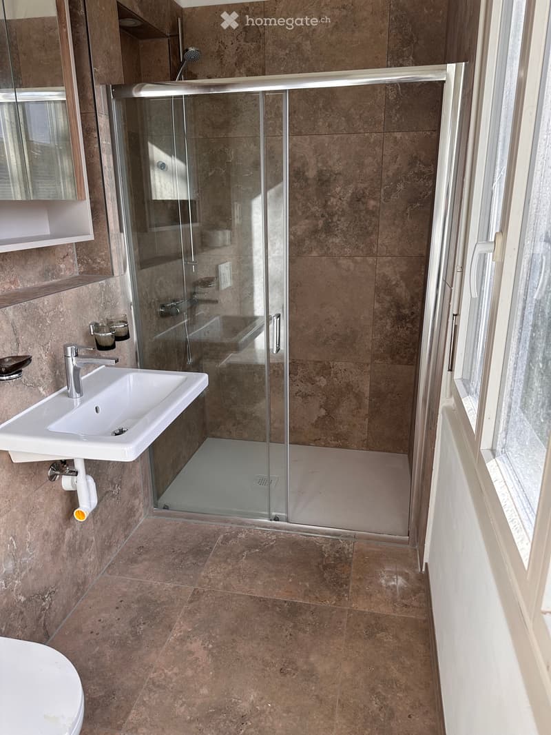 3.5-Zimmer Altbauwohnungen in Binningen (über 70 m²) (2)