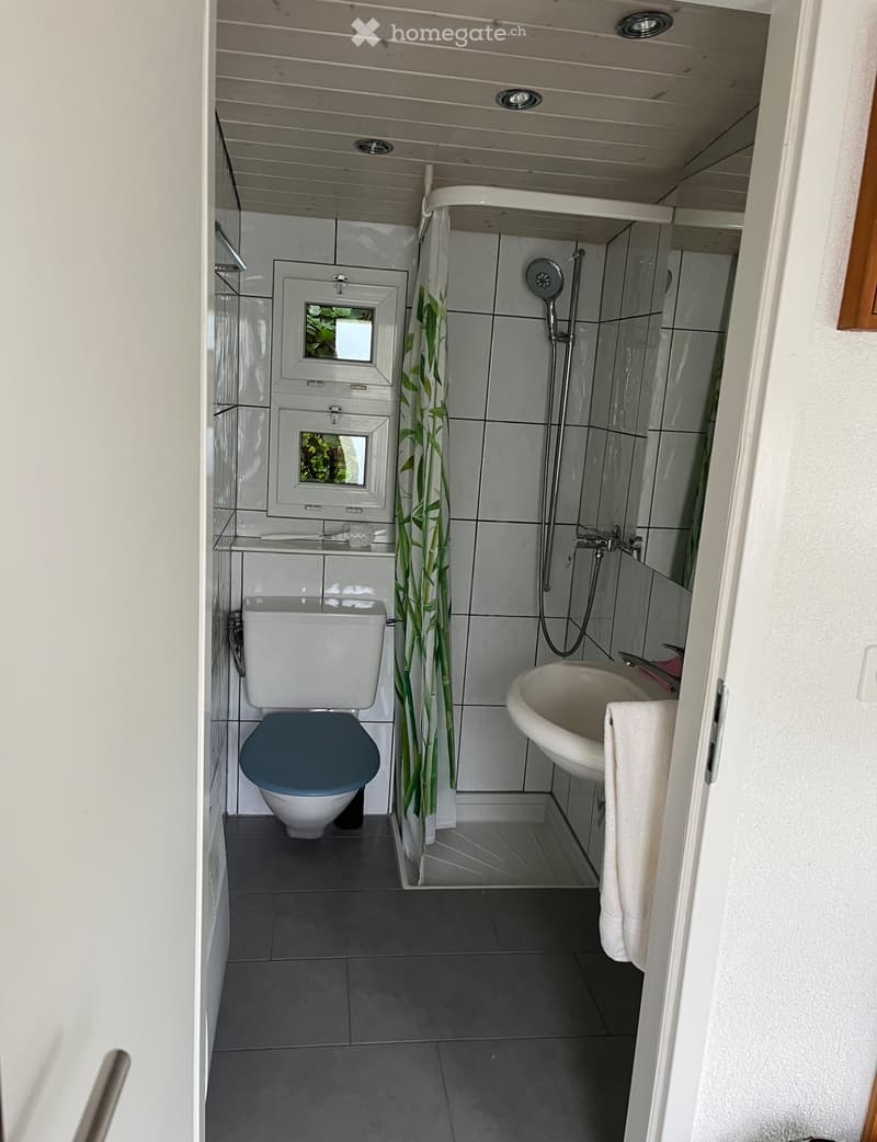 Holzchalet (Mobilhome) (4)