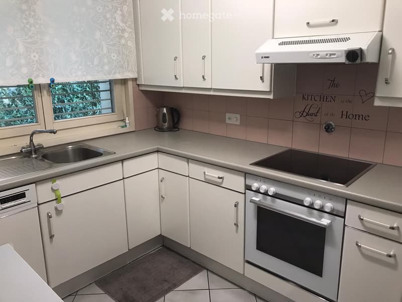 AFFITTASI APPARTAMENTO 3.5 LOCALI LUGANO (2)