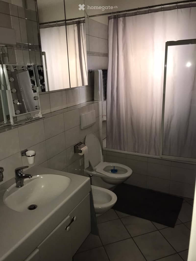 AFFITTASI APPARTAMENTO 3.5 LOCALI LUGANO (3)