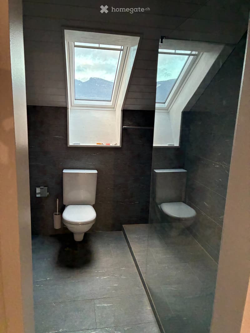 Neu renovierte 3.5 Zimmerwohnung (2)