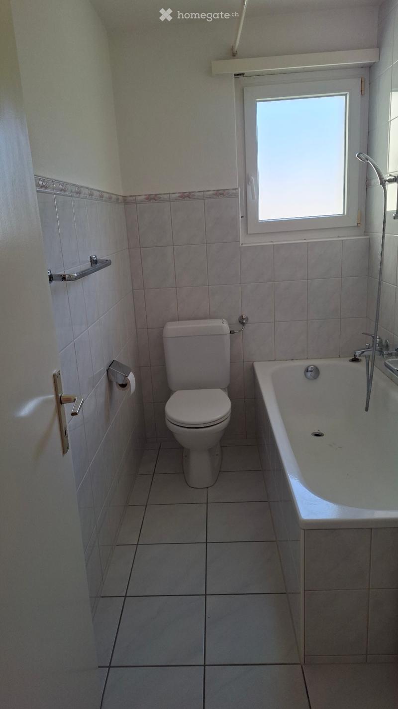 4,5 Zimmer Wohnung (2)