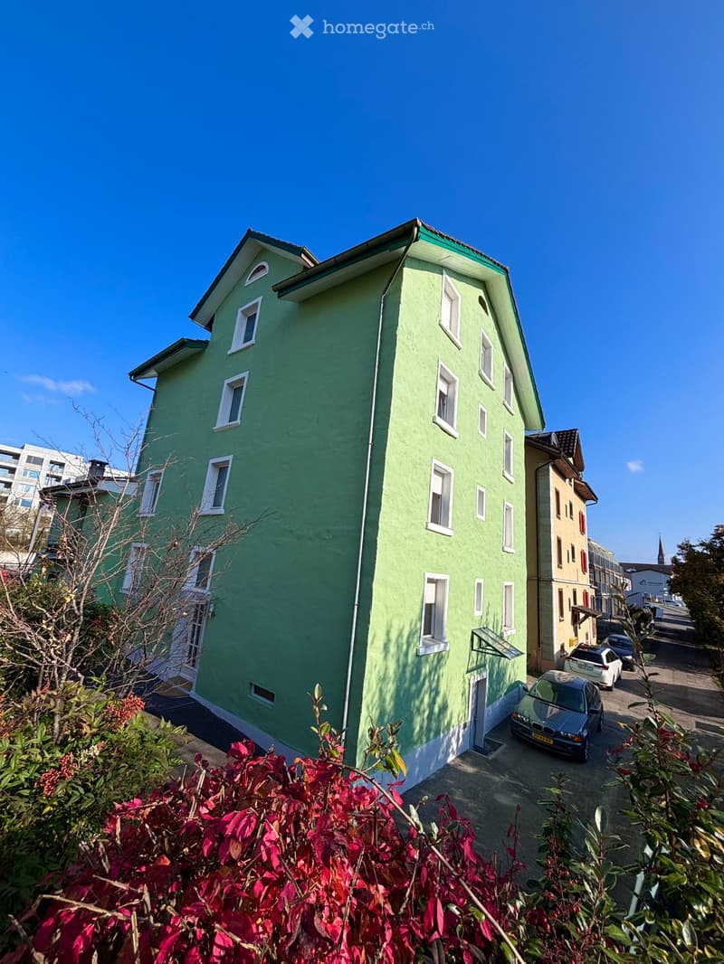 Mehrfamilienhaus mit 7 Wohnungen am Seetalplatz Luzern (1)