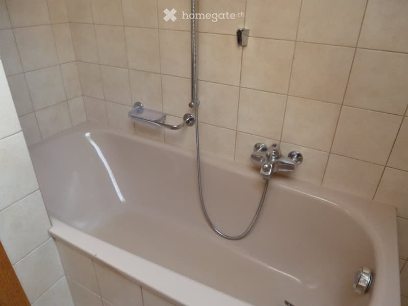 Gemütliche und günstige 3.5 Zimmer Dachwohnung in Bürglen UR (4)