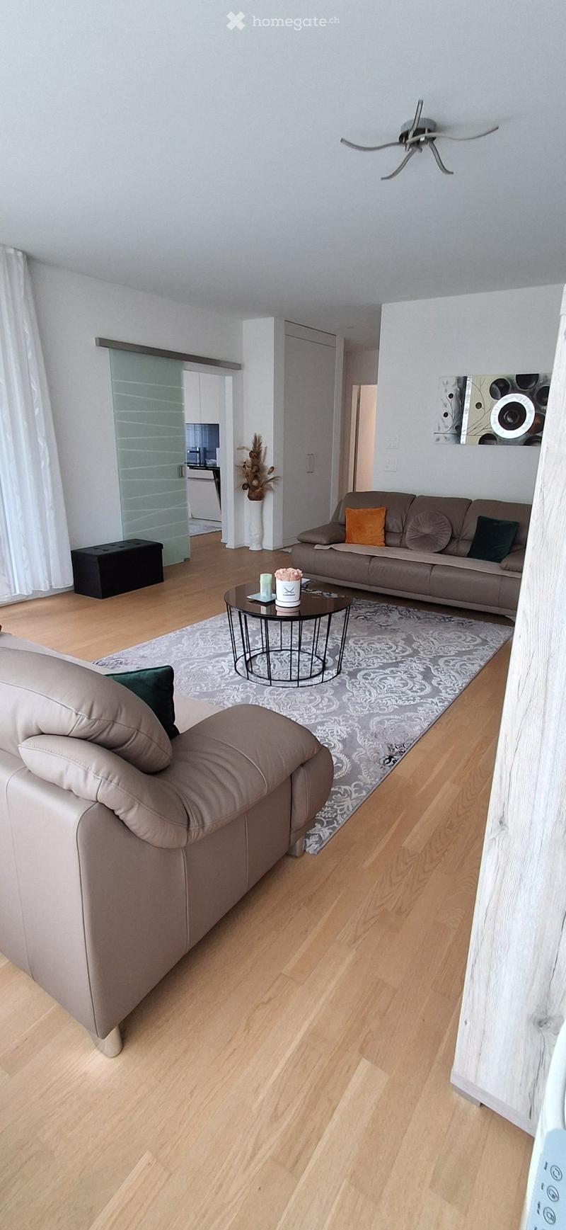Moderne 2.5 Zimmer Wohnung74m im Büron (1)