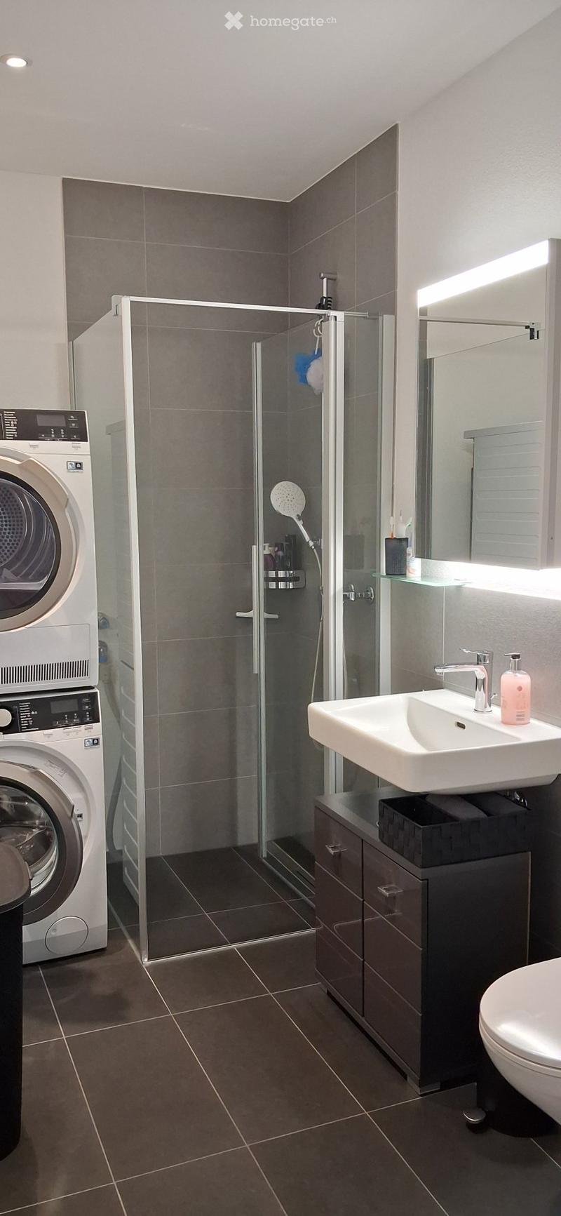 Moderne 2.5 Zimmer Wohnung74m im Büron (4)