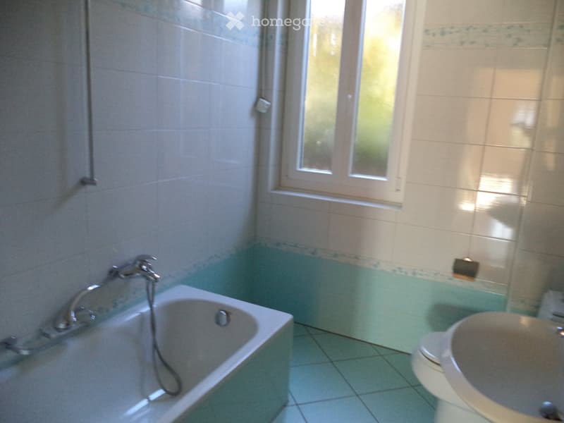 AFFITTASI APPARTAMENTO 3.5 LOCALI (2)