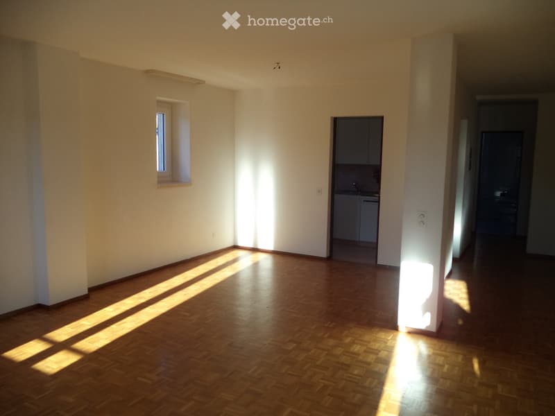 AFFITTASI APPARTAMENTO 3.5 LOCALI (3)