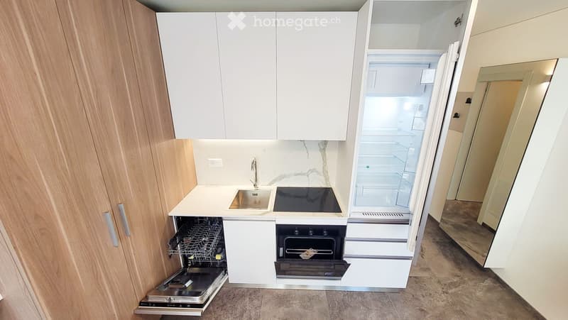 IN NUOVA RESIDENZA MODERNO APPARTAMENTO ARREDATO 1.5 LOCALI (4)