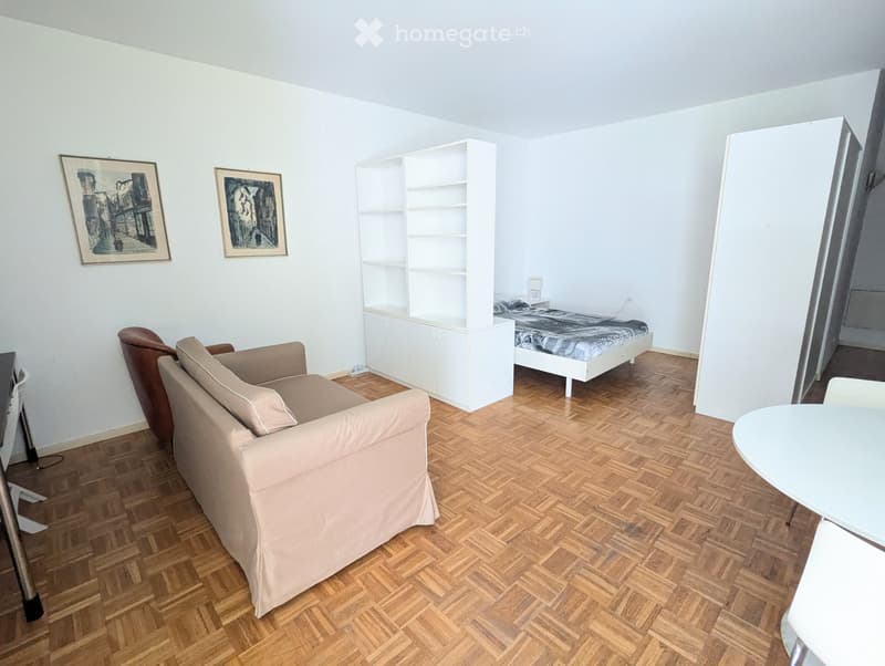Spazioso 1.5 locali ammobiliato a Lugano-Besso (1)