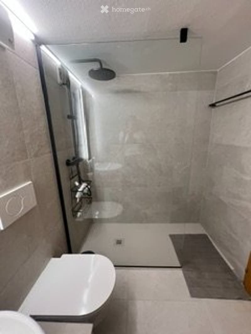 Appartamento di vacanza 4.5 locali - Airolo (2)