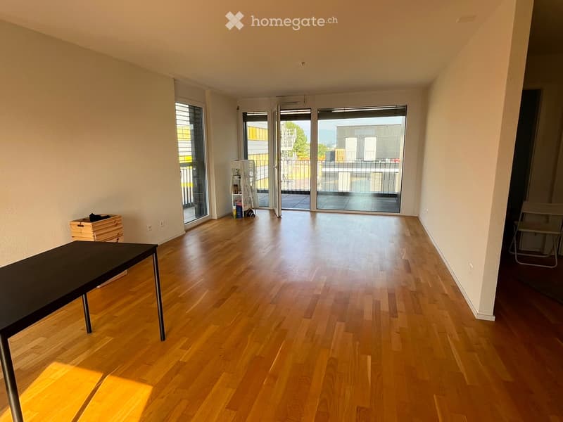 Top-Floor Flat with Terrace (62 m²) Renens Oct 1st (1)
