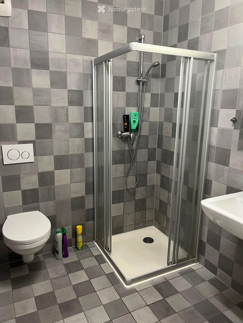 Top-Floor Flat with Terrace (62 m²) Renens Oct 1st (2)