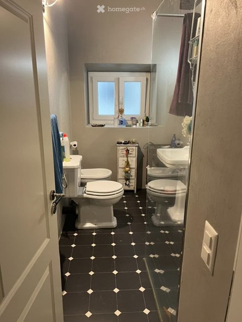 Charmante Wohnung im Centovalli (3)