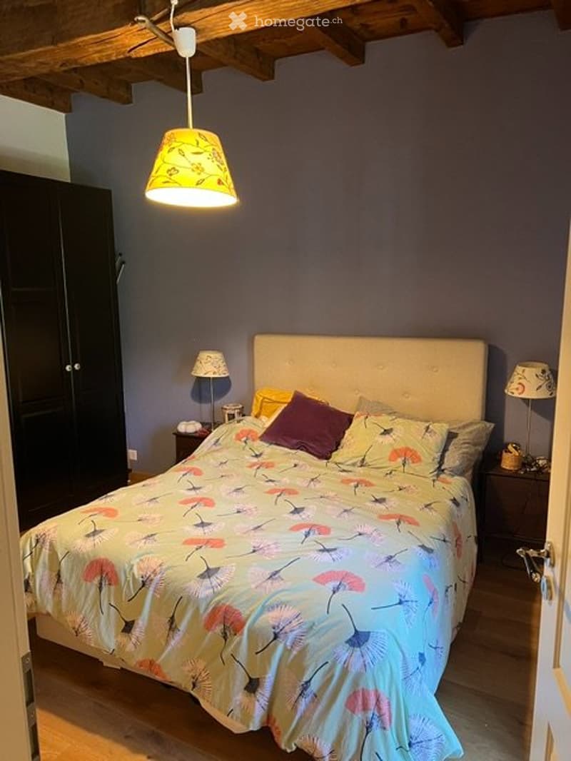 Charmante Wohnung im Centovalli (4)