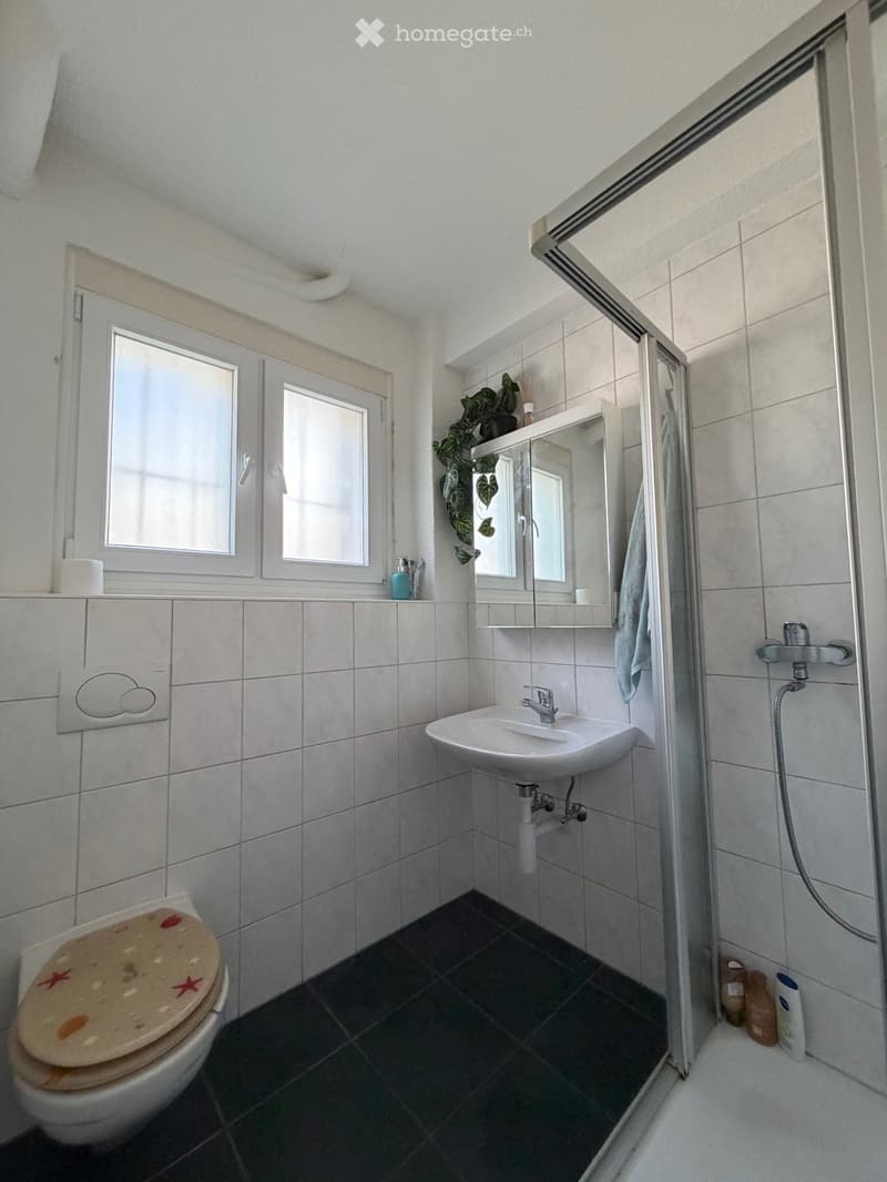 Apt to rent in Visp (3)