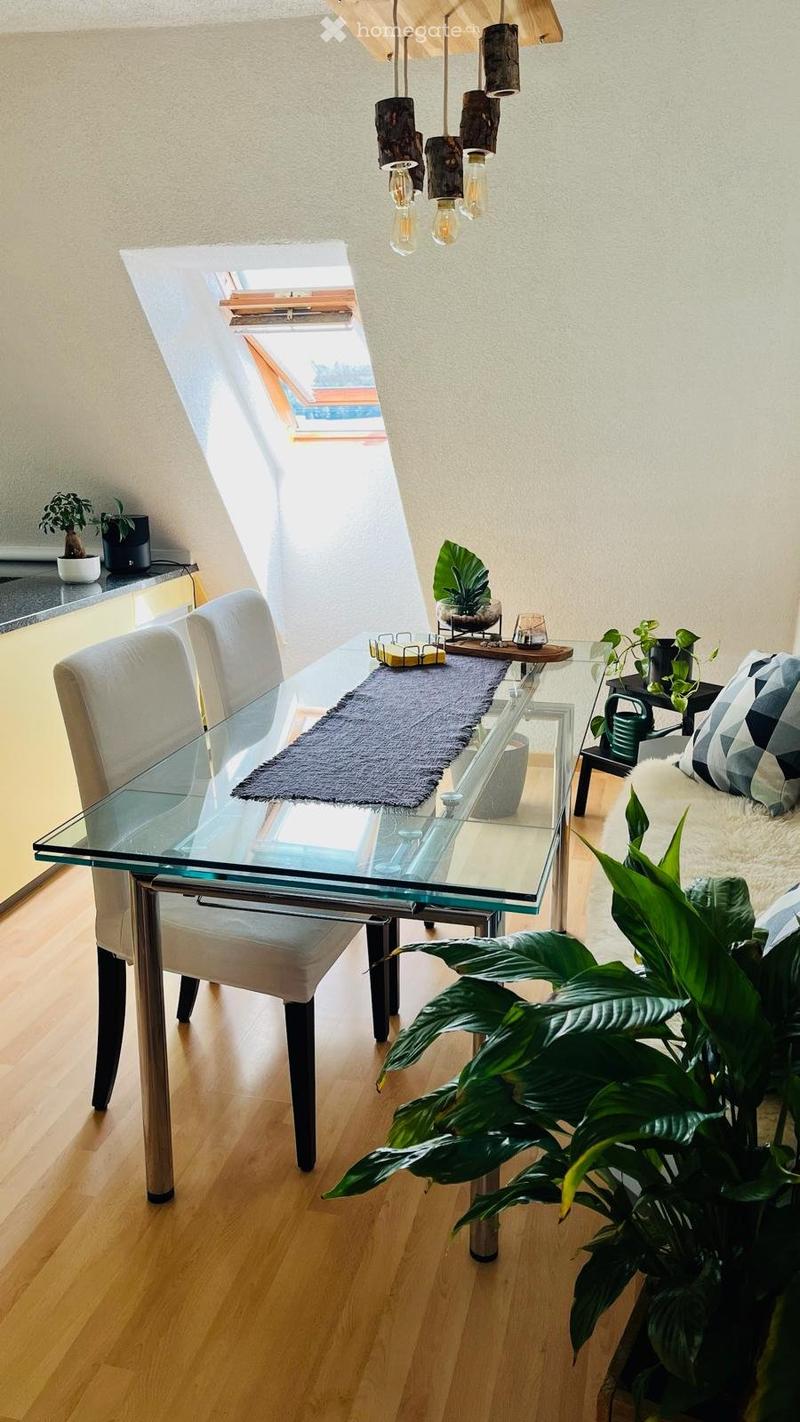 Grosszügige 2.5 Zimmer Dachwohnung auf dem Land (2)