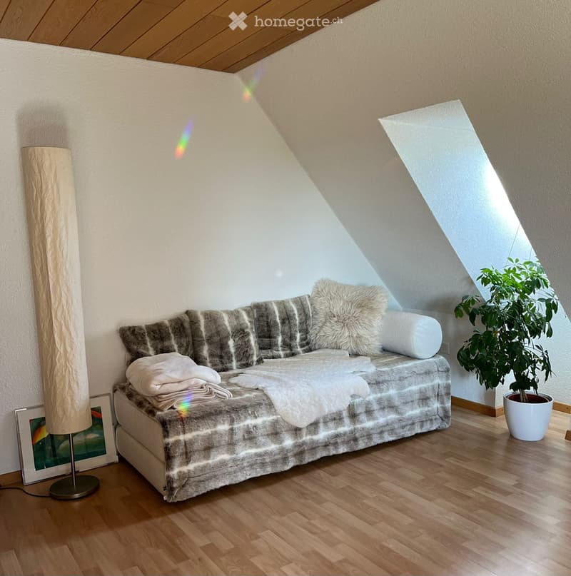 Grosszügige 2.5 Zimmer Dachwohnung auf dem Land (1)