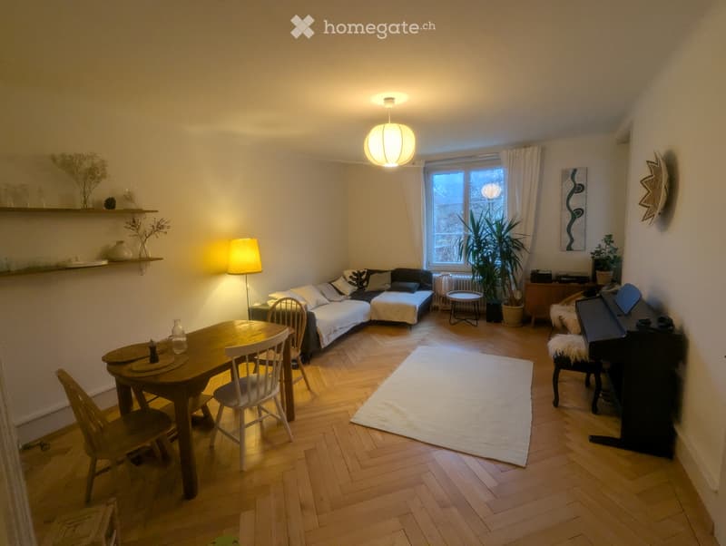 Grosse und helle Wohnung zur Zwischenmiete 10/26 - 02/27 (5)