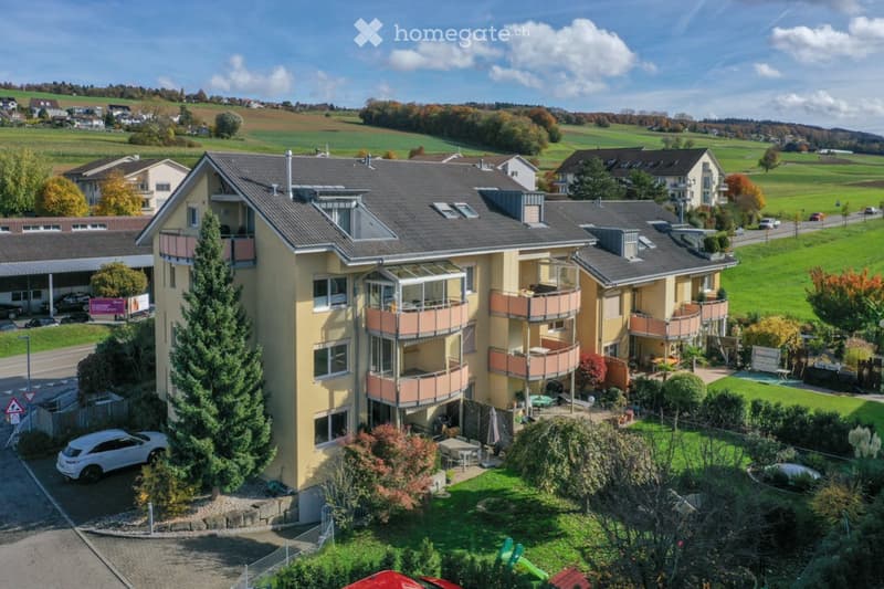 Charmante 3.5-Zimmer-Wohnung in Remetschwil (1)