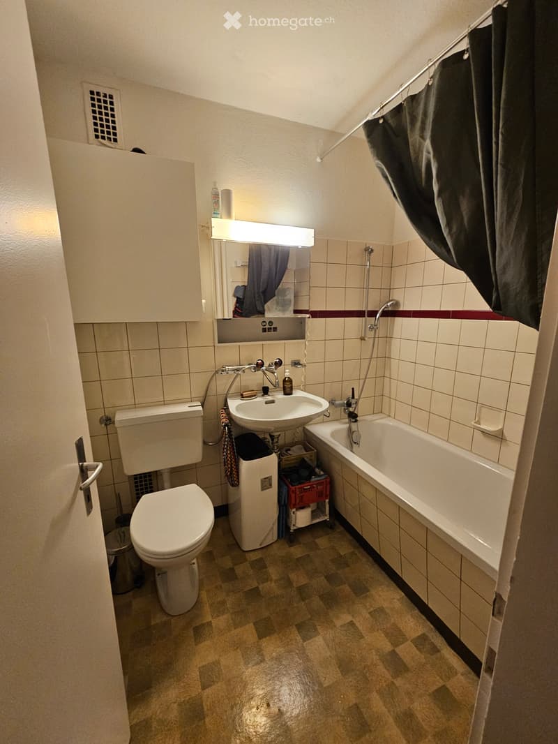 Tauschwohnung Äusseres Lind Winterthur (4)