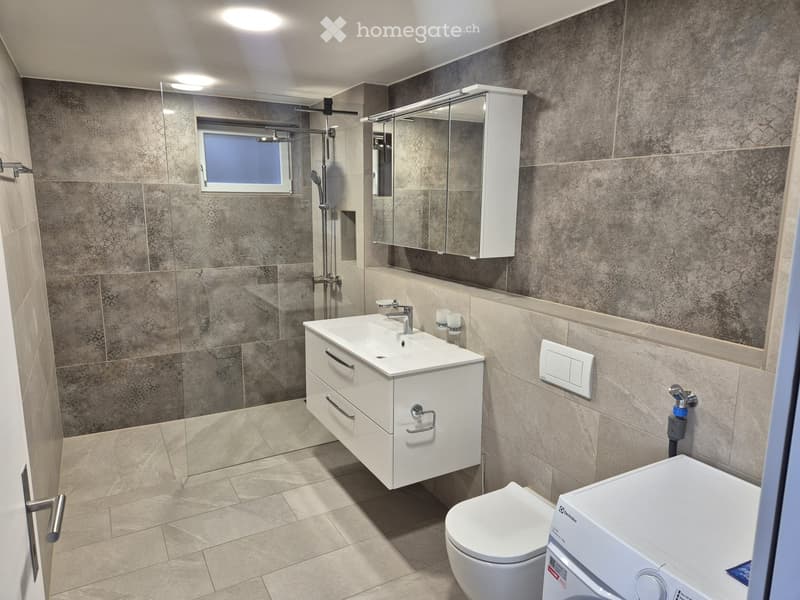 2.5 Wohnung (3)