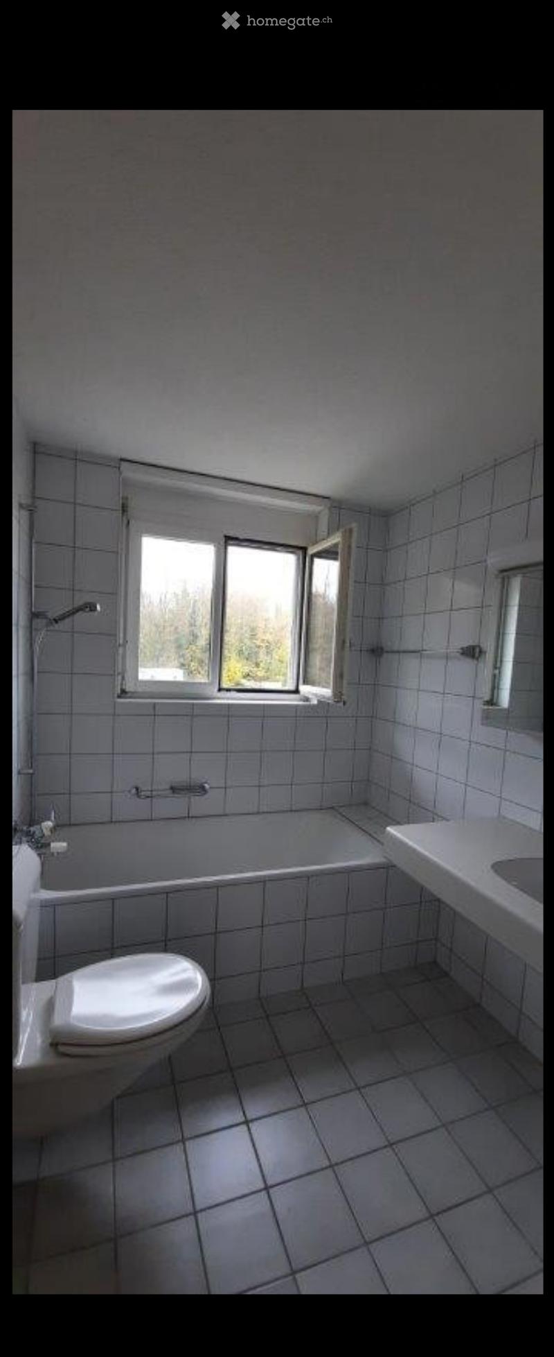4 ½ Zimmer-Wohnung in Koblenz mieten (3)