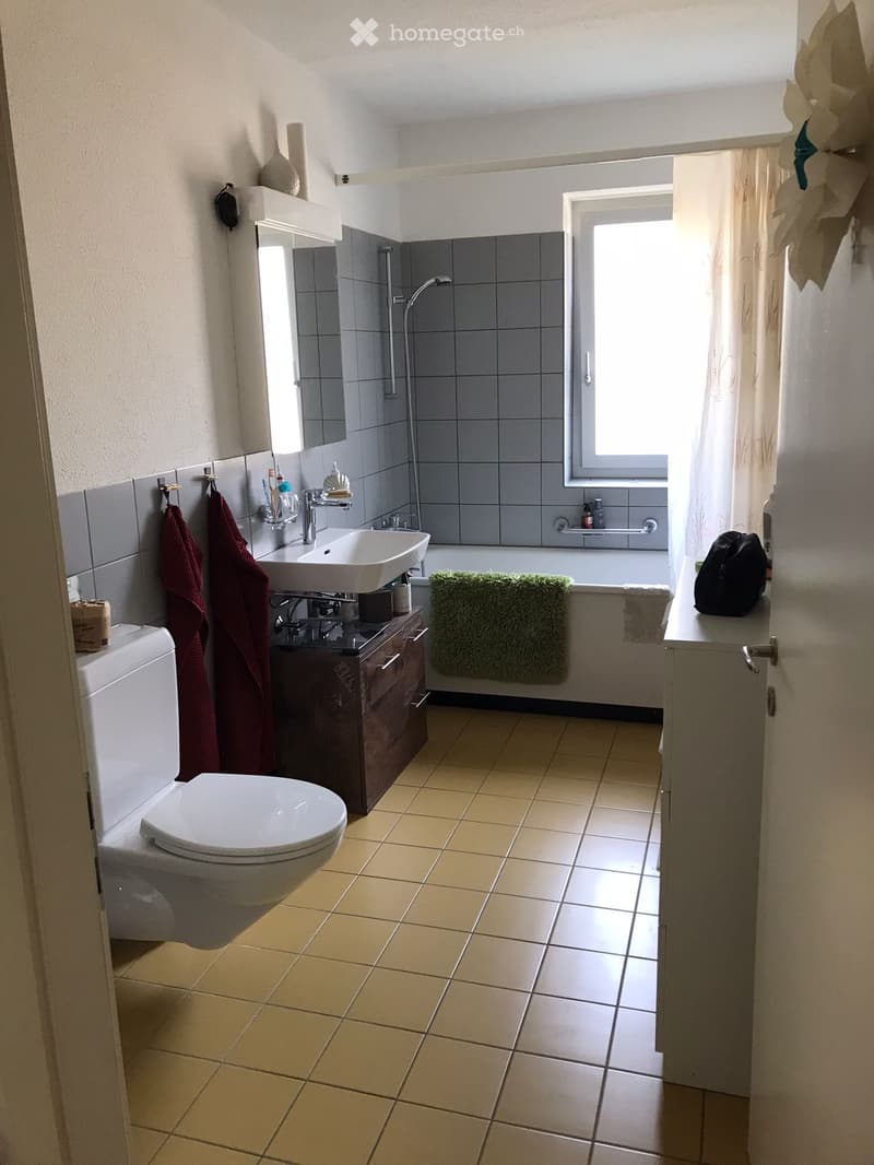 Helles WG-Zimmer in ruhiger Lage in Volketswil (4)