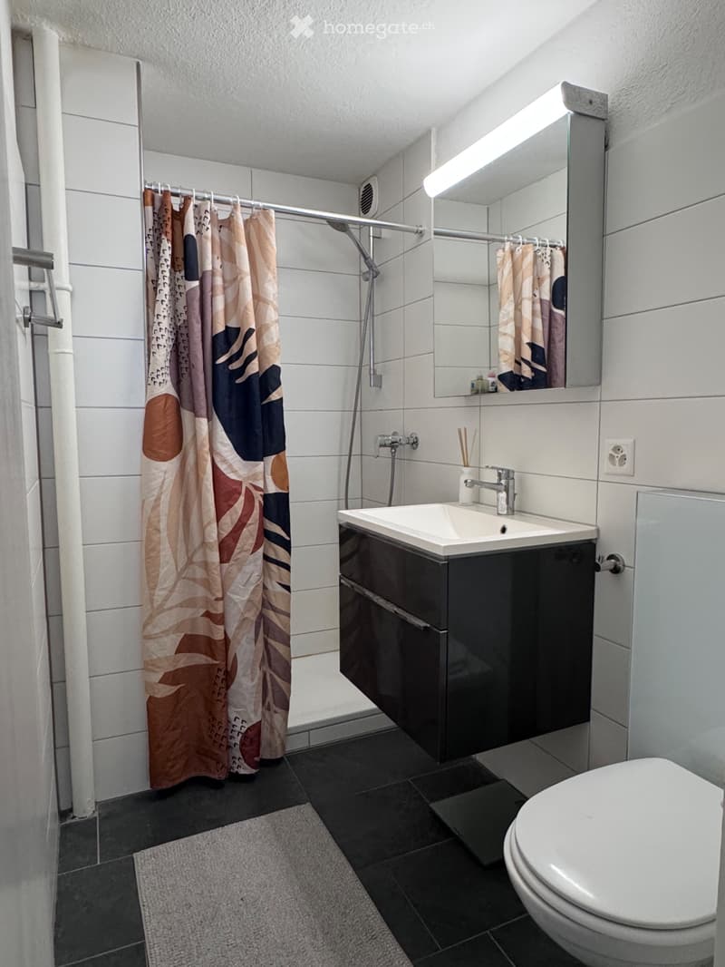 Nachmieter gesucht: 1.5-Zimmer-Wohnung im Herzen von Aarau (4)