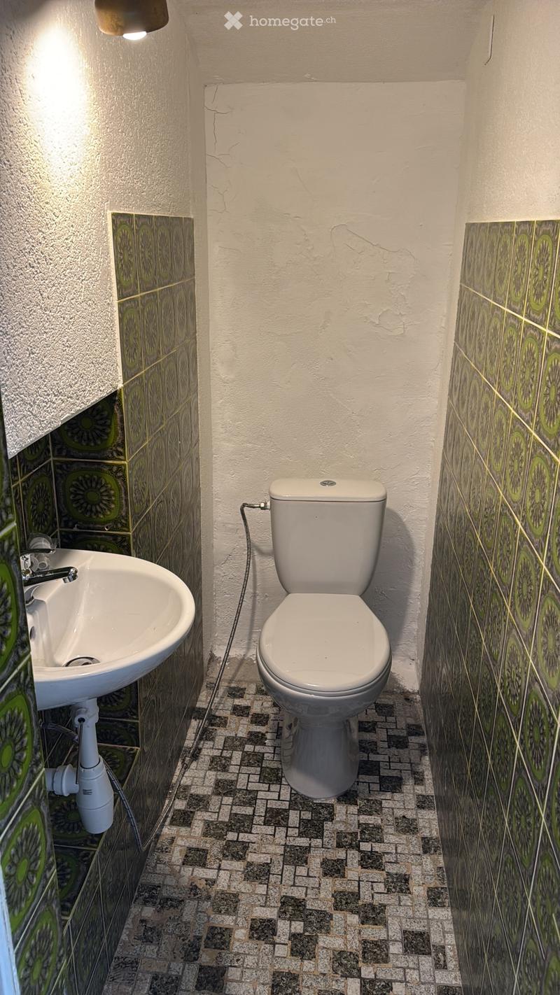 Gemütliches Studio mit Garten zur Miete (3)