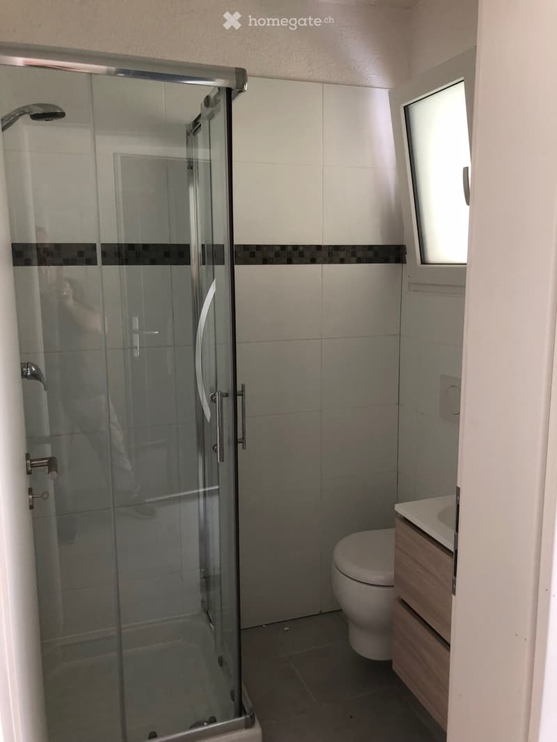 Casetta Bianca, Pollegio Biasca, Duplex 3.5 locali (4)